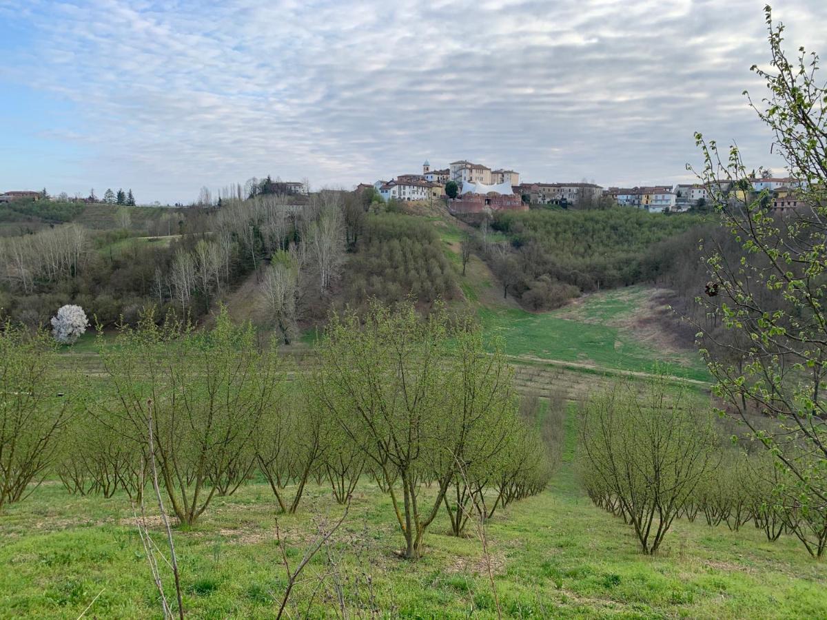 Coppo 1829 Portacomaro